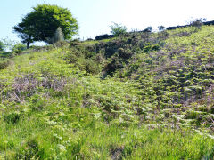 Swffryd Ganol Colliery, June 2013